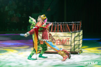 Цирковое шоу Жар птица, Фото: 49
