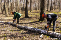 Кто и как решает, какие деревья нужно удалять в Центральном парке Тулы, Фото: 44