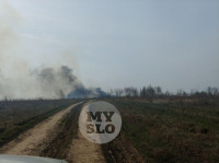 В Туле загорелось поле, Фото: 27