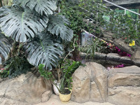 , Фото: 80