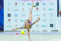 Тула провела крупный турнир по художественной гимнастике, Фото: 141