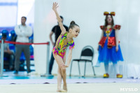 Тула провела крупный турнир по художественной гимнастике, Фото: 48