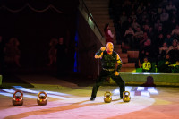 "Чудеса под Новый год" в Тульском цирке, Фото: 27