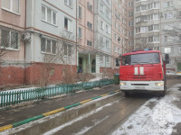 При пожаре в девятиэтажке на ул. Луначарского в Туле погиб мужчина, Фото: 1