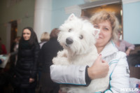 Всероссийская выставка собак 2017, Фото: 2