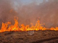 В Федоровке огонь с горящего поля едва не перекинулся на дома, Фото: 11