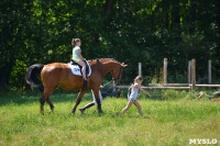 В Ясной поляне стартовал турнир по конному спорту, Фото: 140
