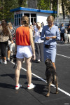 В Туле прошла выставка собак всех пород: фоторепортаж, Фото: 10