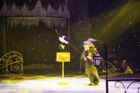 «Чудеса Новогодней Ёлки» ждут вас в Тульском цирке, Фото: 17