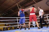 Финал турнира по боксу "Гран-при Тулы", Фото: 167
