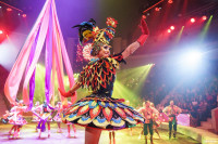 Шоу Гии Эрадзе «5 континентов» в Тульском цирке: феерия уже началась!, Фото: 105