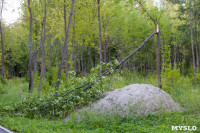 В Баташевском саду из-за непогоды упали вековые деревья, Фото: 8