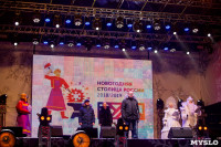 закрытие проекта Тула новогодняя столица России, Фото: 13