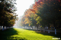 Центральный парк, утро, осень, Фото: 48