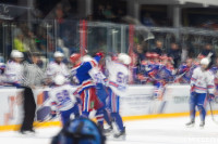 Соревнования по хоккею за Кубок губернатора Тульской области, Фото: 90