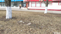 Сергей Шестаков: «В Туле началась масштабная уборка улиц», Фото: 11