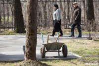 Посадка саженцев в Комсомольском парке, Фото: 46