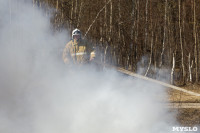 В Туле провели тренировку по тушению ландшафтного пожара, Фото: 83