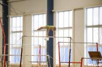 Спортивная гимнастика в Туле 3.12, Фото: 160