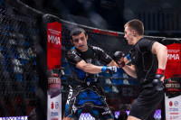 В «Тула-Арене» состоялись областные соревнования по ММА, Фото: 84