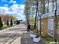 ЕВРАЗ посадил в Пролетарском парке 100 деревьев, Фото: 1