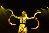 "Чудеса под Новый год" в Тульском цирке, Фото: 23