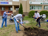 В Туле посадили еловую аллею в честь 85-летию со дня образования ГАИ-ГИБДД, Фото: 8