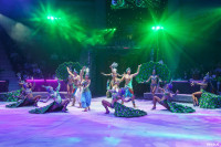 Шоу Гии Эрадзе «5 континентов» в Тульском цирке: феерия уже началась!, Фото: 38