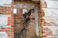 Усадьба Федяшево, Фото: 8