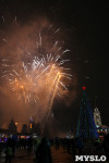 Открытие главной ёлки на площади Ленина, Фото: 48