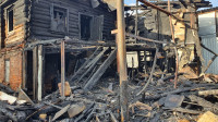 Туляков из горящего дома спасли собаки, Фото: 6