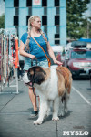 Всероссийская выставка собак в Туле, Фото: 13