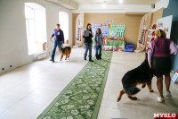 Выставка собак в Туле, Фото: 35