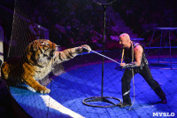 Цирковое шоу, Фото: 150