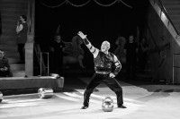 "Чудеса под Новый год" в Тульском цирке, Фото: 30