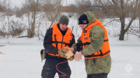 В Туле МЧС взорвали лёд на реке Дон: видео, Фото: 8