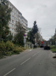 Читатель о вырубке деревьев на ул. Революции: «Была красивая зеленая улица, а теперь…», Фото: 5