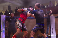 Турнир по ММА памяти Алексея Калинина собрал лучших бойцов страны: фоторепортаж, Фото: 120