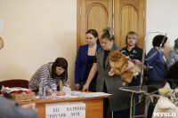 Выставка собак в Туле 29.02, Фото: 8