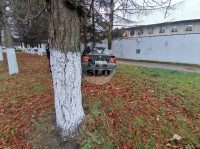 В Туле BMW влетел в дерево: пострадал водитель, Фото: 1
