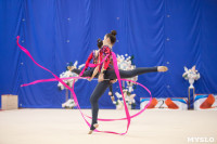 Соревнования по художественной гимнастике на призы благотворительного фонда «Земляки», Фото: 173