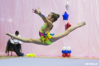 Соревнования по художественной гимнастике 31 марта-1 апреля 2016 года, Фото: 38
