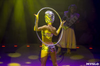 Шоу фонтанов «13 месяцев» в Тульском цирке – подарите себе и близким путевку в сказку!, Фото: 45