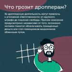 Дропперы МВД, Фото: 9