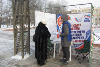 Пикет «Единой России» в поддержку увеличения соцнормы на электроэнергию, Фото: 4