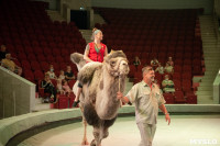 «В Тульском цирке прошла открытая репетиция программы «Цирк зажигает огни», Фото: 38