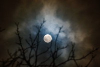 Бобровое суперлуние в Туле: фоторепортаж, Фото: 10