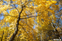 Золотая осень в Ясной Поляне, Фото: 15