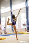 Спортивная гимнастика в Туле 3.12, Фото: 181