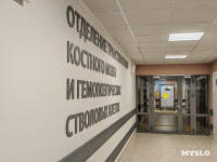 Тульские онкологи рассказали, как трансплантацией стволовых клеток лечат лейкоз, миеломы и лимфомы, Фото: 1